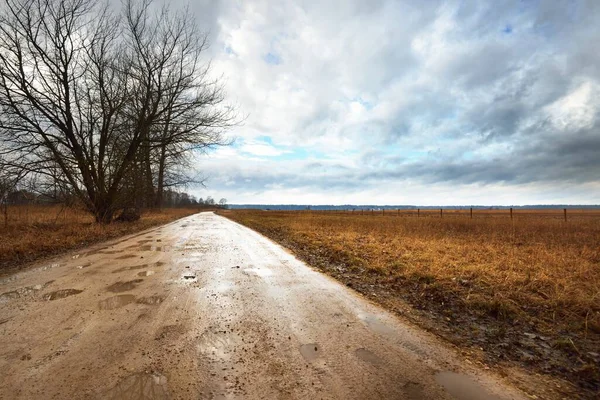 Dramatische Hemel Boven Het Veld Voor Regen Onverharde Weg Close — Stockfoto