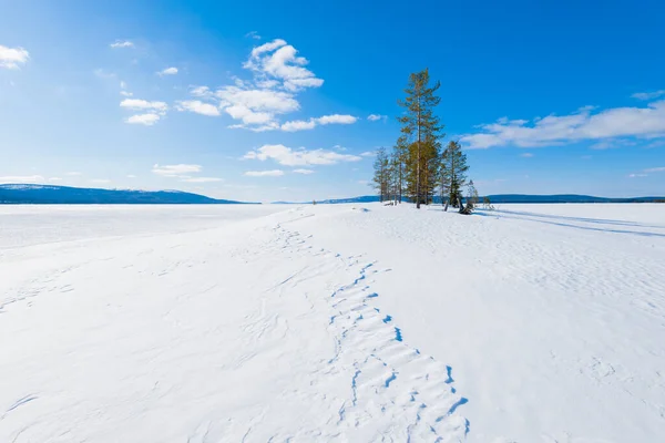 Панорамный Вид Замерзшее Озеро Пихты Холме Крупным Планом Заснеженные Горы — стоковое фото