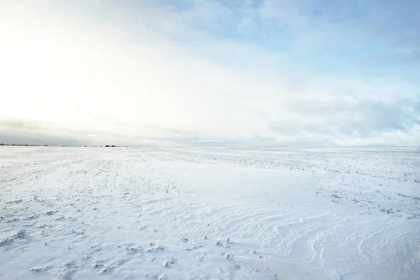 Gün Batımında Karla Kaplı Arazinin Panoramik Görüntüsü Arka Planda Kır — Stok fotoğraf