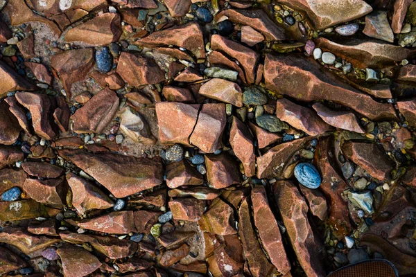 Textura Pedras Close Mar Báltico Estónia — Fotografia de Stock