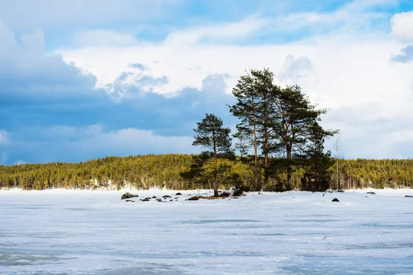 Dramatic Blue Sky Snow Covered Frozen Kuito Lake Coniferous Forest — Stock Photo, Image