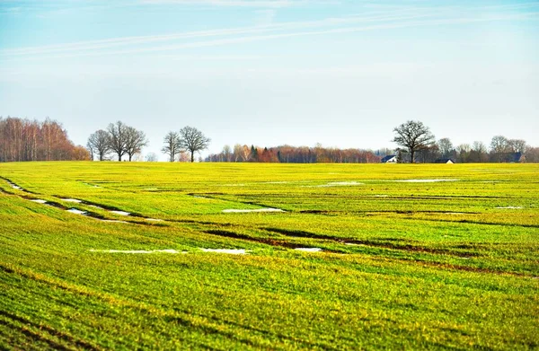 Vista Panorámica Del Campo Agrícola Arado Verde Contra Cielo Azul —  Fotos de Stock