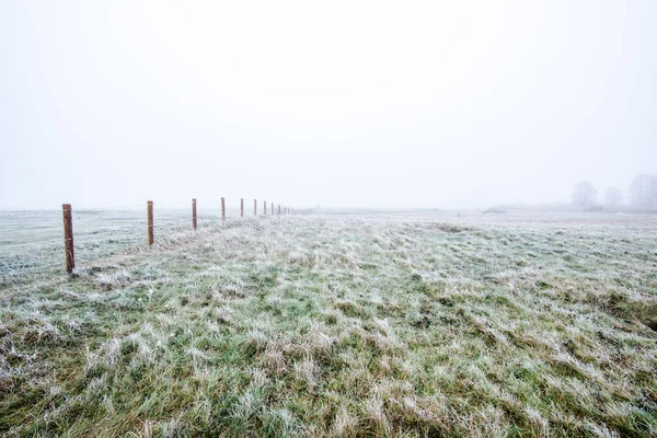 冬の風景 霧の朝のフィールド 霜や草の上の雪 ラトビア — ストック写真