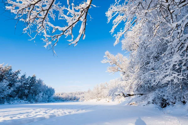 Bevroren Rivier Besneeuwd Bos Een Sneeuwstorm Een Ochtendwaas Heldere Blauwe — Stockfoto