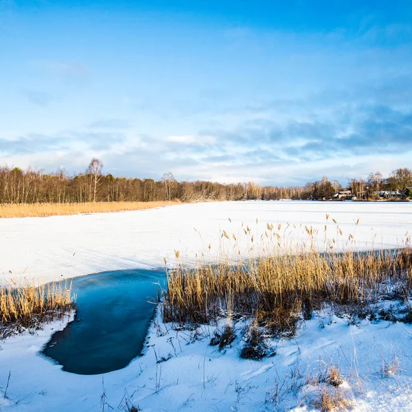 View Snow Covered Country Field Forest Background Clear Sunny Day — Stock Photo, Image