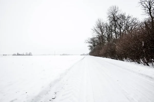 Över Det Snötäckta Landet Med Skog Bakgrunden Mulen Vinterdag Träd — Stockfoto