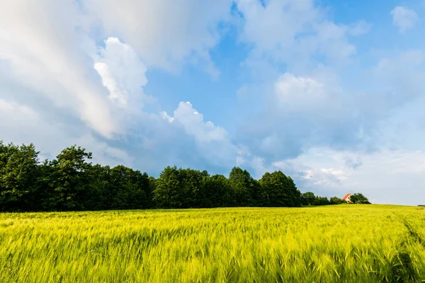 Fresh Lush Green Meadow Cloudy Dramatic Sunset Sky Summer Evening — Stock Photo, Image