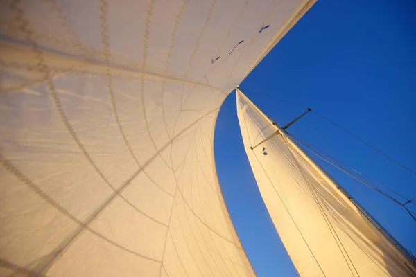 一艘小船的白色帆在晴朗的蓝天上与日落时的飞机轨道相连 芬兰湾 — 图库照片