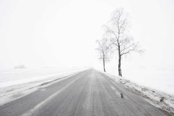Tom Landsväg Genom Snötäckta Fälten Mulen Vinterdag Björkar Närbild Lettland — Stockfoto