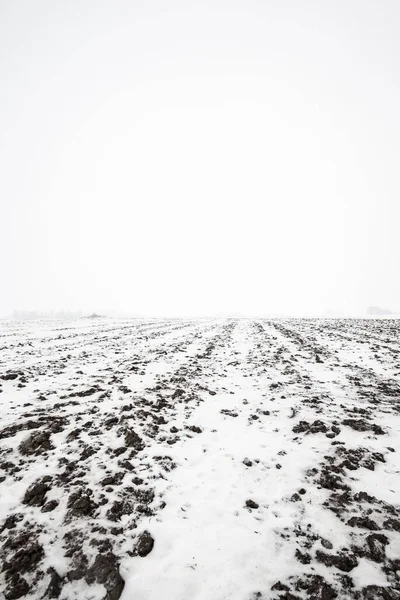 Widok Pokrytego Śniegiem Pola Krajobrazowego Lasem Tle Pochmurny Zimowy Dzień — Zdjęcie stockowe