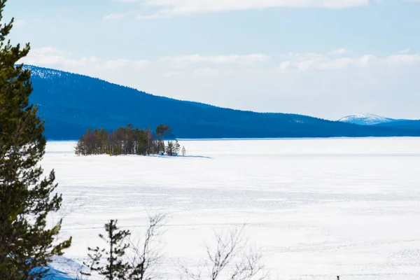 凍結湖のパノラマビュー モミの木を閉じる 雪に覆われた山々や背景に針葉樹林 真っ青な空 コラ半島 ムルマンスク地方 カレリア ロシア — ストック写真