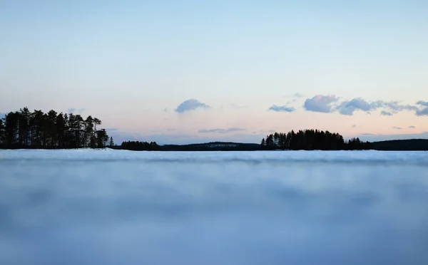 Ciel Clair Coucher Soleil Dessus Lac Kuito Gelé Enneigé Forêt — Photo