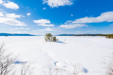 Açık bir kış gününde, karla kaplı tepelerin panoramik manzarası. Arka planda dağlar ve kozalaklı orman var. Kola Yarımadası, Murmansk bölgesi, Kutup Dairesi, Karelia, Rusya