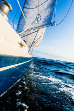 Açık güneşli bir günde mavi yelkenli yelkenli. Yakın plan. Baltık Denizi, Estonya