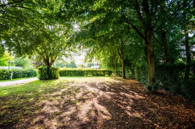 Parkta güneşli bir yaz günü. Poix de Picardie, Fransa