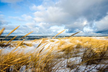 Güneşli bir kış gününde, karla kaplı deniz kıyısında. Kuzey denizi üzerinde soğuk fırtınalı dalgalar ve bulutlar, Hollanda