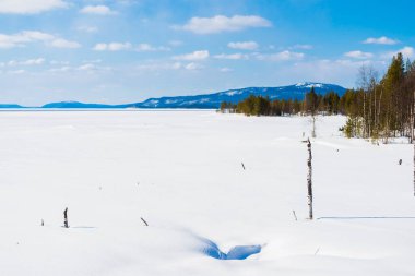 Donmuş gölün panoramik manzarası. Yakından firavun ağaçları. Arka planda karla kaplı dağlar ve kozalaklı ormanlar var. Açık mavi gökyüzü. Kola Yarımadası, Murmansk bölgesi, Kutup Dairesi, Karelia, Rusya