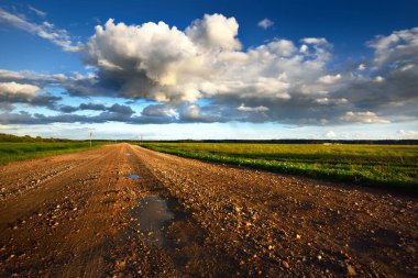 Güneşli bir yaz gününde, arka planda bir ormanın olduğu yeşil tarım tarlalarından geçen bir yol, Letonya 'nın penceresinden bir manzara.