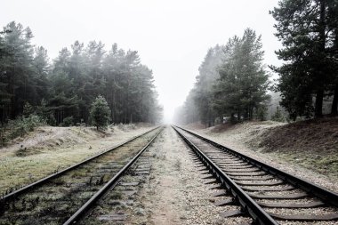 Akşamları puslu demiryolu, arka planda çam ağaçları, Letonya
