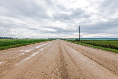 Bulutlu bir sonbahar gününde yeşil tarım tarlaları boyunca uzanan boş toprak toprak yol manzarası, arka planda orman. Letonya
