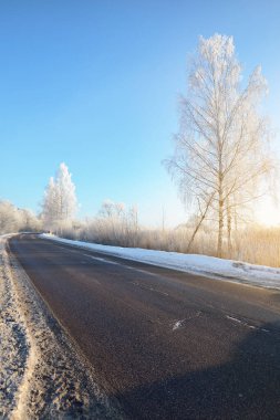 Kış ormanı sahnesi. Boş bir asfalt yol. Arka planda karla kaplı huş ağaçları ve evler var. Güneş ışınları ve saf akşam ışığı, açık mavi gökyüzü. Letonya