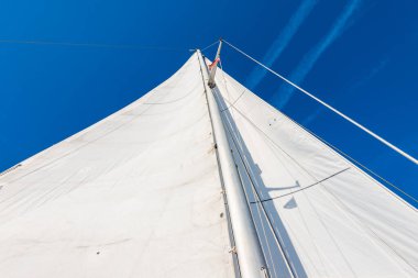 Açık mavi gökyüzüne karşı beyaz yelkenli yelkenli. Arka planda uçak izleri var. Baltık Denizi, Estonya