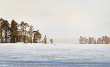 Kar fırtınasından sonra, donmuş Kuito Gölü 'nün üzerindeki dramatik gökyüzü. Arka planda kozalaklı orman var. Kış batımı. Karelya Kuzey, Laponya