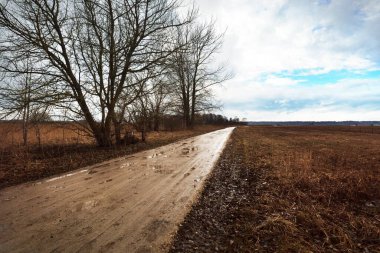 Yağmurdan önce gökyüzünde dramatik bir hava vardı. Toprak yol yakındı. - Letonya. Atmosferik ilkbahar kırsal alanı. Doğa, mevsimler, ekoloji, çevre, iklim değişikliği, kararsız hava