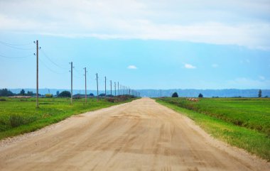 Bulutlu bir sonbahar gününde yeşil tarımsal tarlalar boyunca uzanan boş toprak arazi yolunun manzarası, arka planda transformatör direklerinin yakın çekimi. Letonya