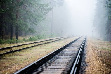 Akşamları puslu demiryolu, arka planda çam ağaçları, Letonya