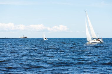Açık bir günde beyaz yelkenli dolu yatlar denize açılıyor. Arka planda deniz feneri var. Riga Körfezi, Baltık Denizi, Letonya