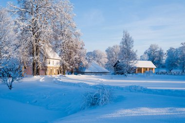 Kar fırtınasından sonra geleneksel kır evi ve karla kaplı ağaçların manzarası. Açık mavi gökyüzü. Sigulda, Letonya
