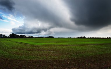 Yeşil tarlaların üzerinde kara fırtına bulutları, arka planda orman. Kırsal sonbahar manzarası. Letonya