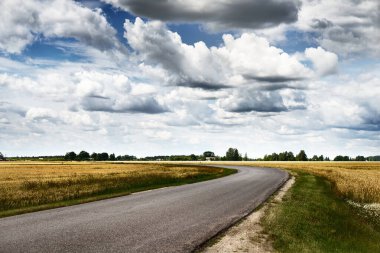 Yaz manzarası. Tarımsal tarlalardan geçen boş bir asfalt yol, arka planda orman manzarası. ABD