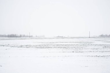 Letonya 'nın bulutlu bir kış gününde arka planda bir ormanın olduğu karla kaplı bir kır arazisi manzarası