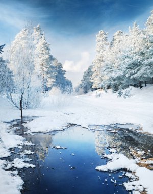 Sirus ve kümülüs bulutları olan açık mavi gökyüzünün altında küçük donmuş bir göl ve karla kaplı her yer yemyeşil bir orman. - Letonya. Idyllic kırsal kesim. Suyun simetri yansımaları. Kış harikalar diyarı