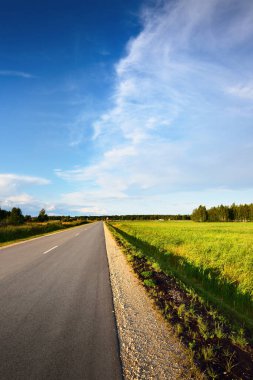 Tarlalarda boş bir asfalt yol, arka planda yeşil orman. Letonya