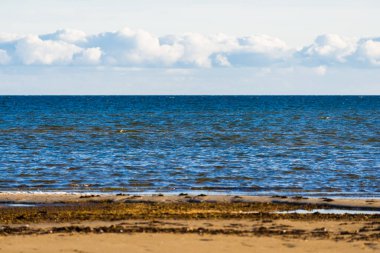 Gün batımında boş bir deniz kıyısı. Beyaz bulutlu açık mavi akşam gökyüzü. Baltık Denizi, Ruhnu Adası, Estonya
