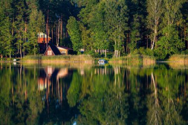 Kır manzarası. Orman nehri manzarası, arka planda ağaçlar ve evler. Sudaki yansımalar. Letonya