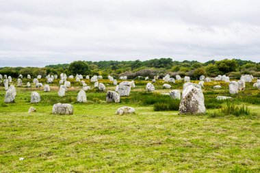 Fransa 'nın Carnac kentindeki yaprak döken meşe ormanında antik menhir granit taşlar.