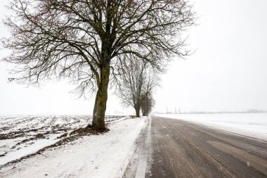 Bulutlu bir kış gününde, Letonya 'nın karla kaplı tarlalarında boş bir köy yolu.