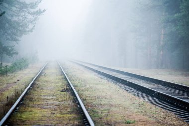Sabahları puslu demiryolu, arka planda çam ağaçları, Letonya