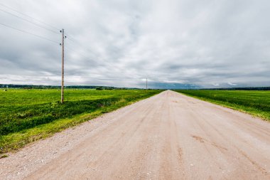 Bulutlu bir sonbahar gününde yeşil tarım tarlaları boyunca uzanan boş toprak toprak yol manzarası, arka planda orman. Letonya