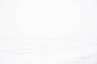 Bulutlu bir kış gününde arka planda bir ormanın olduğu karla kaplı kırsal arazinin manzarası, Letonya 'nın bulutlu bir kış gününde arka planda bir ormanın olduğu Letonya manzarası