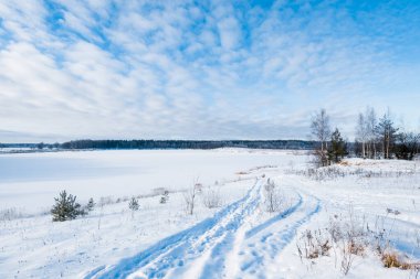 Kırsal alanda karla kaplı yol ve güneşli bir kış gününde soğuk huş ağacı ve köknar ağaçları. Taze karda araba izleri. Ulbroka, Letonya