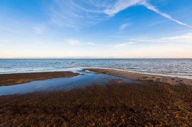 Gün batımında boş bir deniz kıyısı. Açık mavi gökyüzü, beyaz bulutlar ve uçak izleri. Baltık Denizi, Ruhnu Adası, Estonya