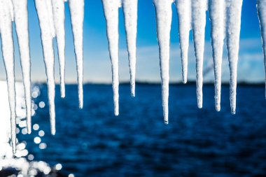 Güneşli bir günde, karla kaplı eski, paslı iskele. Buz parçaları yakın plan. Baltık Denizi, Letonya