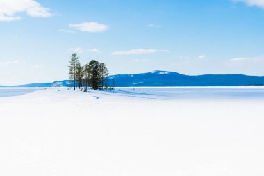 Açık bir kış gününde, karla kaplı tepelerin panoramik manzarası. Arka planda dağlar ve kozalaklı orman var. Kola Yarımadası, Murmansk bölgesi, Kutup Dairesi, Karelia, Rusya