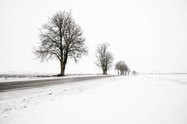 Bulutlu bir kış gününde, Letonya 'nın karla kaplı tarlalarında boş bir köy yolu.