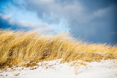 Güneşli bir kış gününde, karla kaplı deniz kıyısında. Kuzey denizi üzerinde soğuk fırtınalı dalgalar ve bulutlar, Hollanda